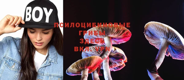 MESCALINE Алзамай