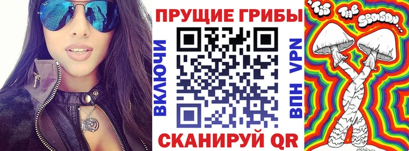 Галлюциногенные грибы Psilocybe KRAKEN как войти Костерёво