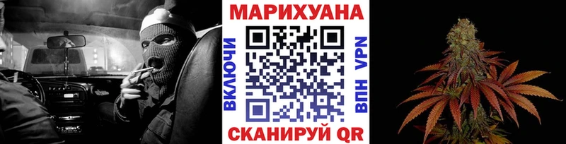 Конопля гибрид  Костерёво 